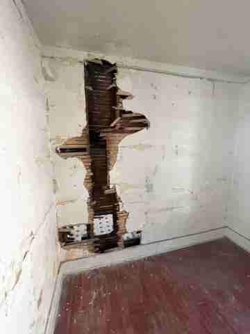 17257 bloom (30).jpg